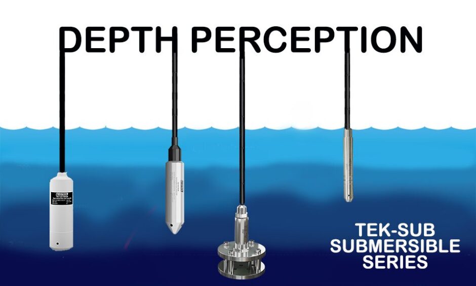 Depth Perception