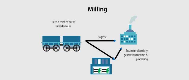 Sugar Industry Milling